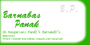 barnabas panak business card